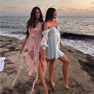 Pastel Pink Ruffled Sheer Chiffon Maxi Dress